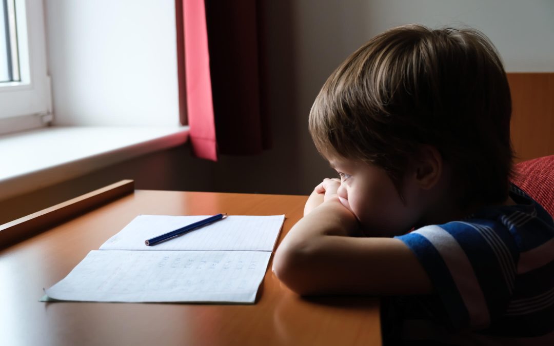 The Best Interest of the Child in Nevada Custody Cases
